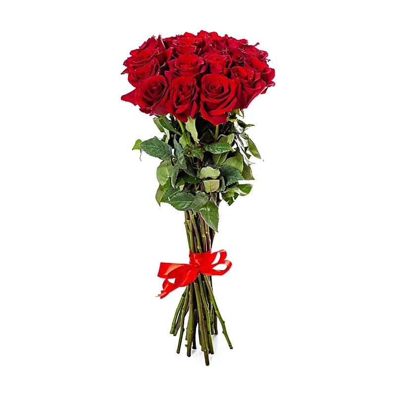 Букет из 19 красных метровых роз